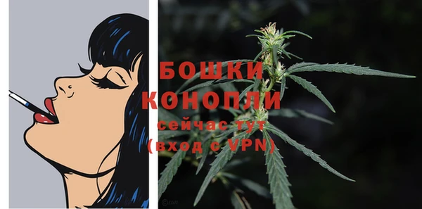 молекула духа Беломорск