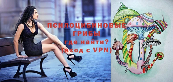 амф Белоозёрский